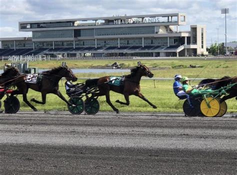 meadowlands harness racing results